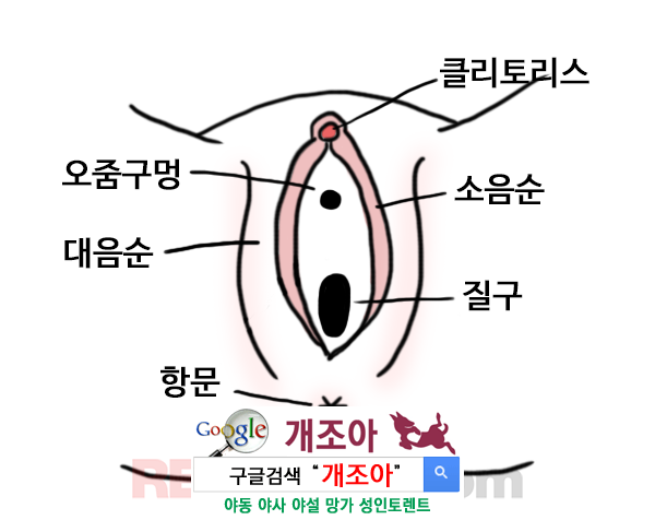 여성성기에 관한 몇가지 사실들              이미지 #2