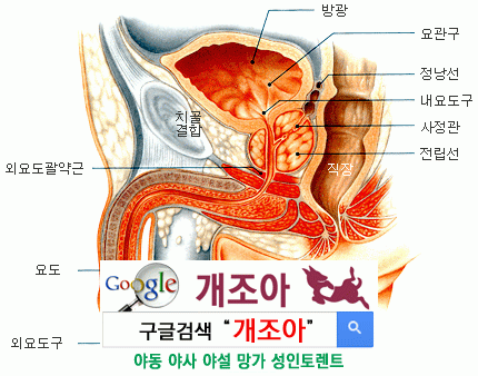 위상기하 오르가즘의 실체(하) - 남성멀티오르가즘을 위한 요도자위              이미지 #1